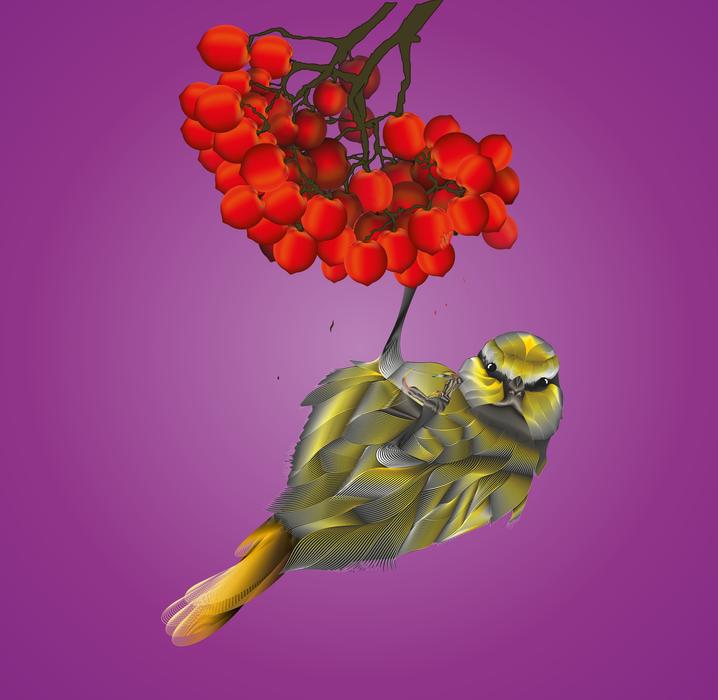 a small bird on berries