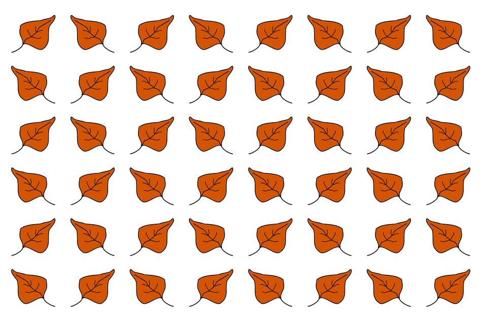 white background with yellow leaves