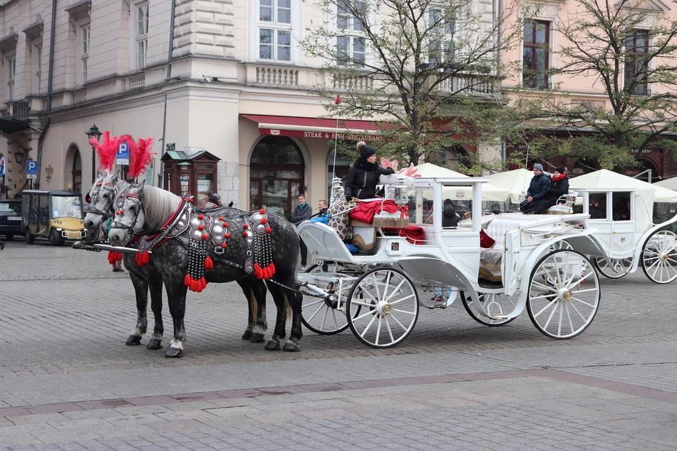 brown horses with a white carriage