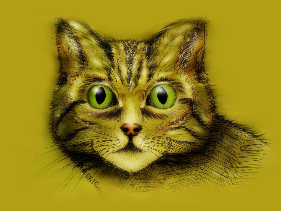 art drawing of a cat with big eyes
