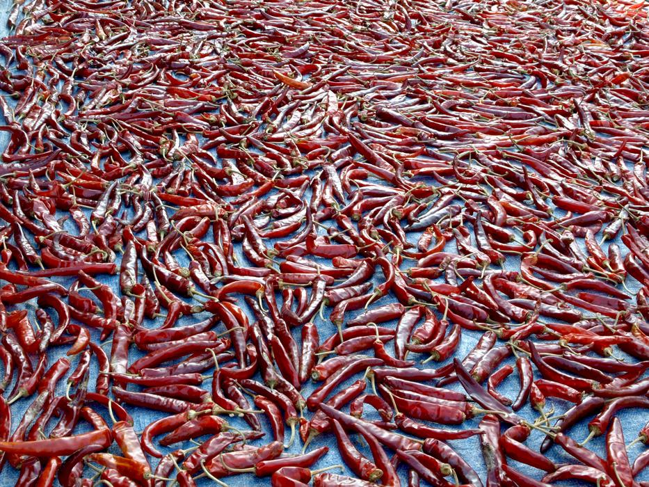 scattered hot peppers