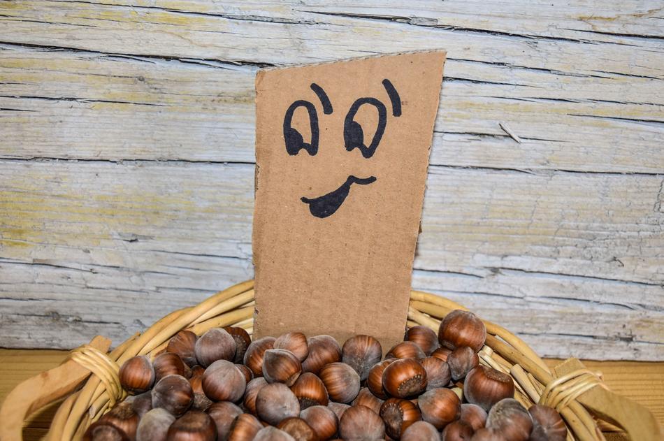 walnuts cardboard kind of basket
