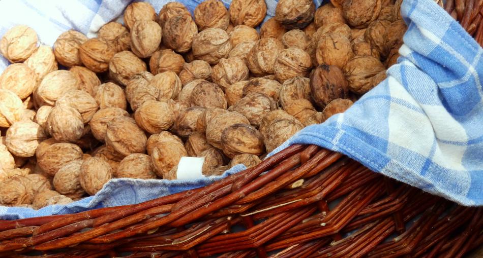 Walnut harvest in a basket