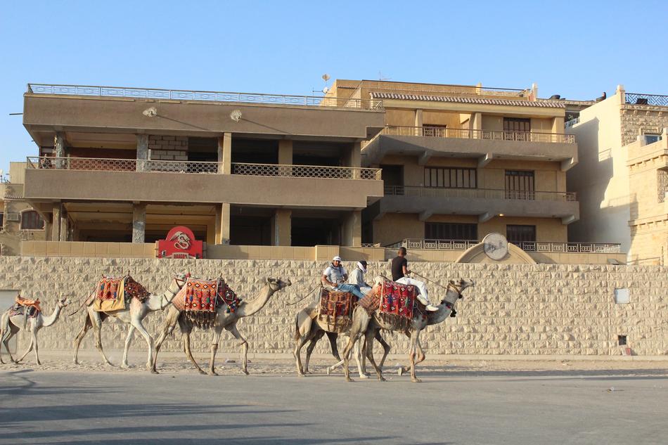 Egypt Desert Sand