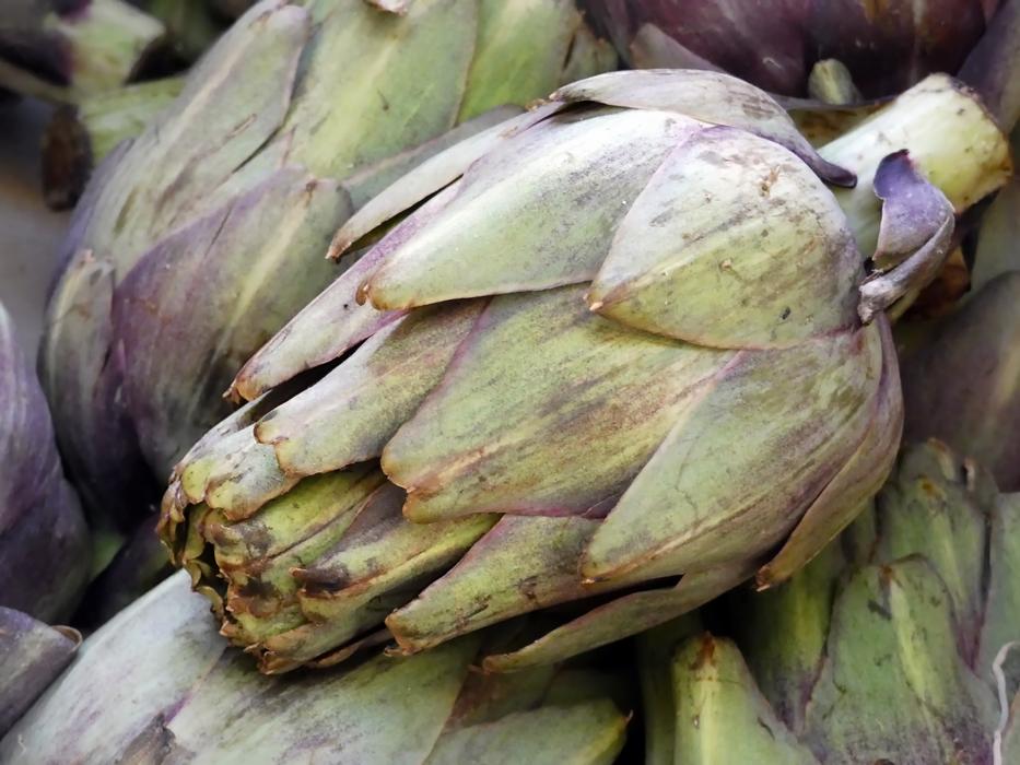 ripe farm artichoke