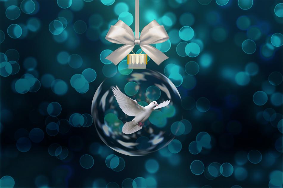Christmas harmony soap