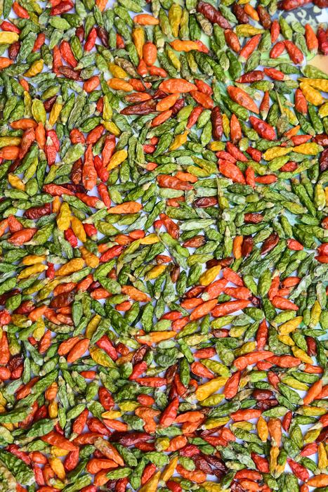 Color Background Chili