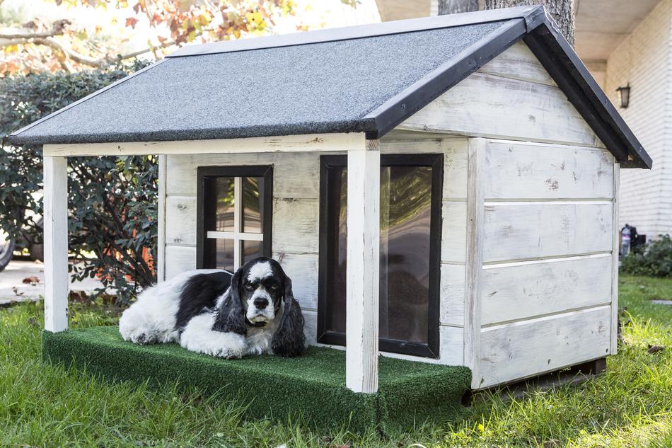 white wooden dog house