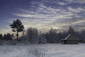 trees house white snow beautiful