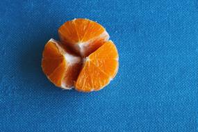 Fresh Orange Fruit