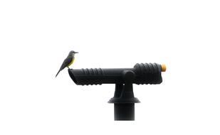 black binoculars with a bird