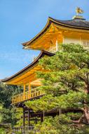 green grass with chinese building