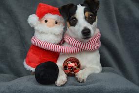 dog and christmas santa
