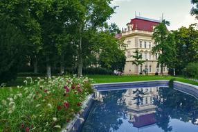 swimming pool house trees street