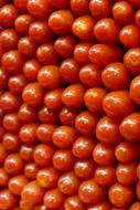 wall of ripe tomatoes