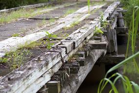 stone bridge with green grass