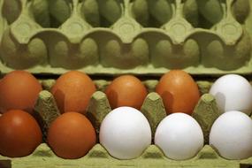 colored chicken eggs in a box