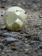 a broken cup on the ground