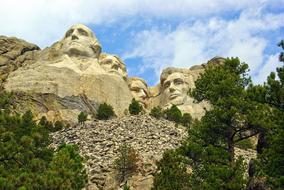 The head rocks a lot of trees