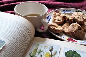 hot tea with cookies and a book