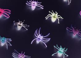 colored insects glow