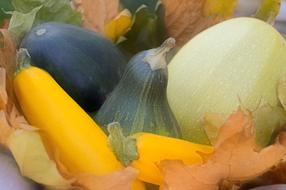 ripe colored vegetables