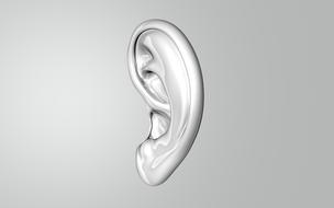 human ear, listen, drawing