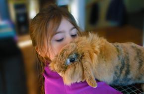 Girl Rabbit Pet