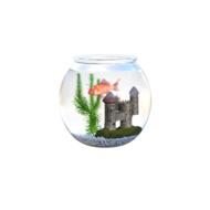 round aquarium with fish and corals