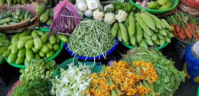 Large vegetable harvest for sale