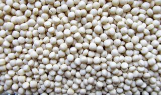 dried white beans