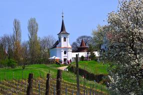 white roofed church in the meadow