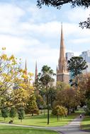 St Patrick'S Cathedral Melbourne