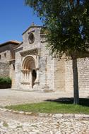 old architecture by the tree