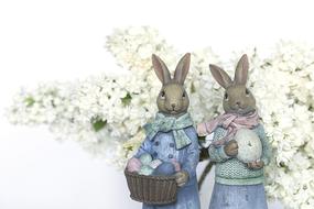 two gray rabbits on white flowers