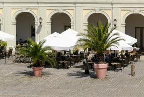 cafe terrace with flowers