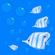 Beautiful, blue, white and black fish, swimming in the blue water, with the bubbles, clipart