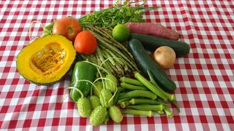 Vegetables Greens Tomato pumpkin