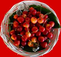 ripe cherries in a bowl