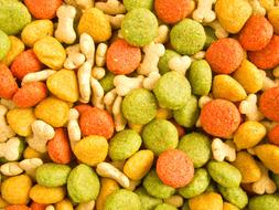 colored pet food