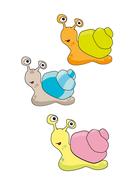 colored snails on a white background