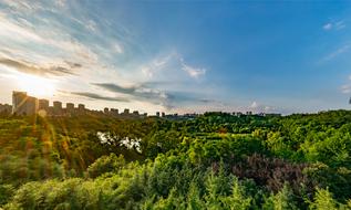 Blue Sky Park