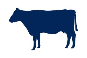 blue cow silhouette sign
