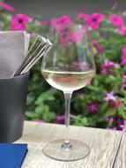 white wine in a glass