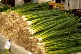 Leeks on sale