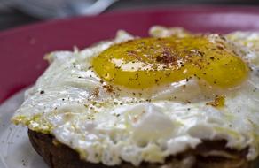 fried egg and spices on bread