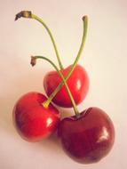 Sweet delicious cherries