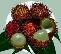 Tropical juicy fruit sweet