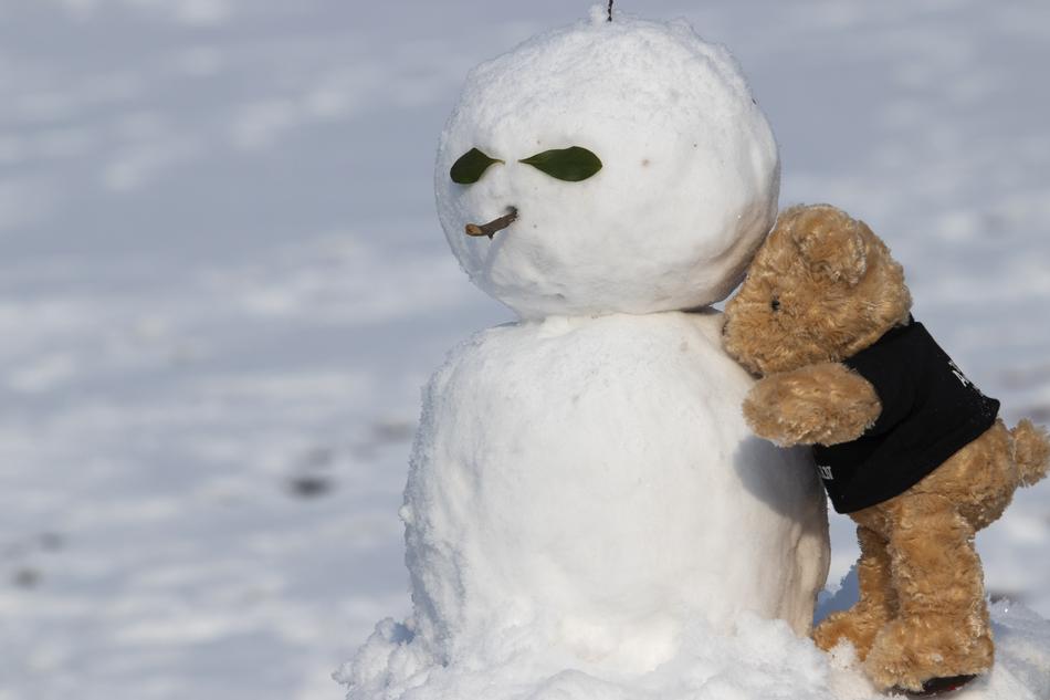 a bear with a snowman in winter