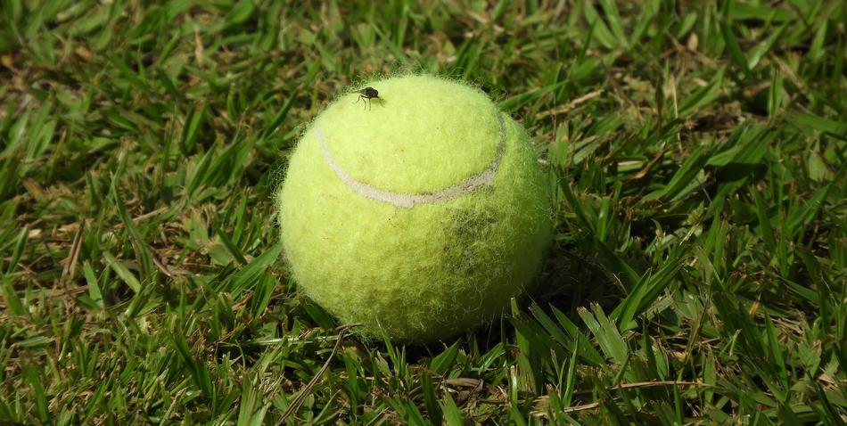 green ball for dog